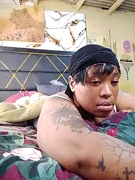 BINSA35 webcam