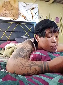 BINSA35 webcam