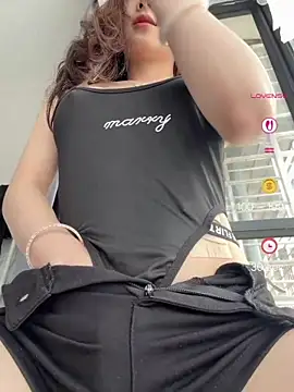 meimei x