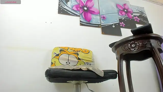 baiolethX webcam