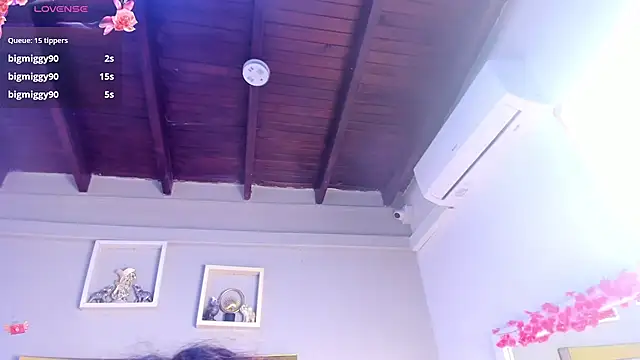 vahiolet_fuentes webcam