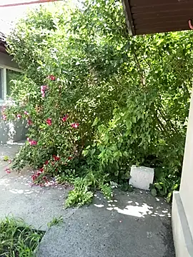 Melljoy webcam