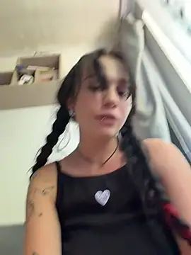 VendiMur webcam