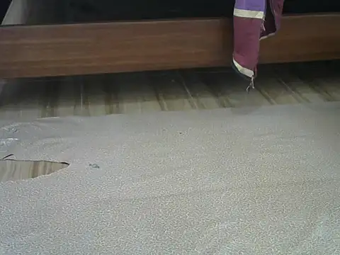 pusian