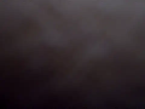MarthaBriest webcam