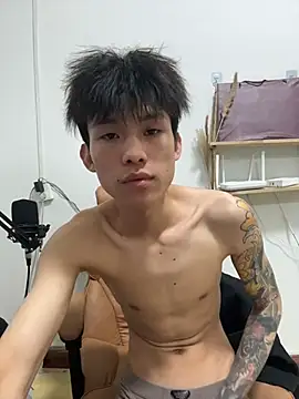 KPL-11 webcam