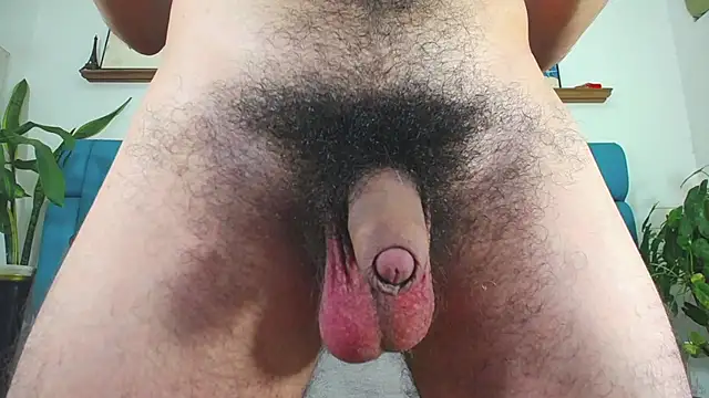 boy_Dirty_X webcam