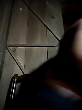 toyo_668 webcam