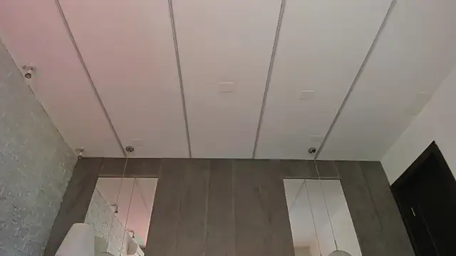 SylverEyesz webcam
