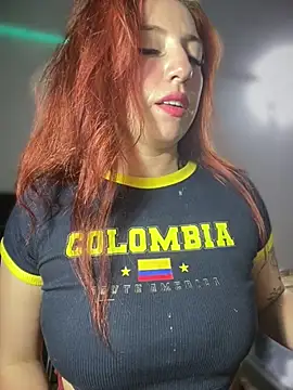 Sofhi_a20 webcam