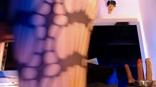 StefyFerrer webcam
