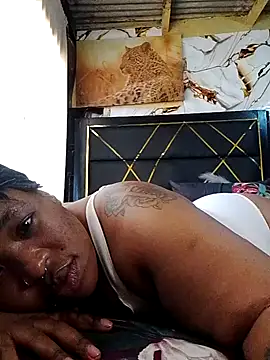 BINSA35 webcam