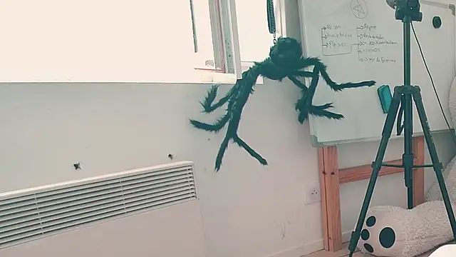 CeriseLapine webcam