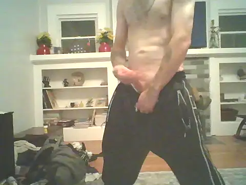 Gain2in1 webcam
