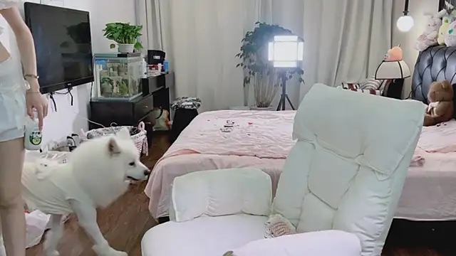 Evacute-top webcam