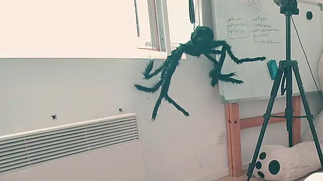 CeriseLapine webcam