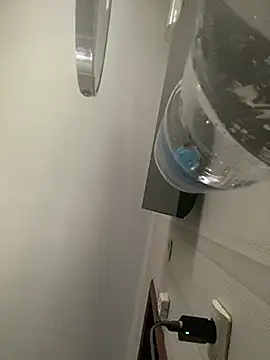 Frosl webcam