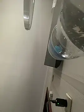 Frosl webcam