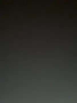 TheDime live cam on StripChat