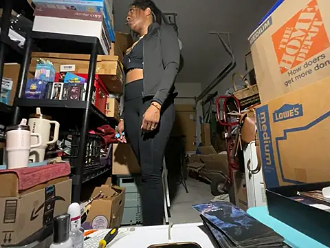 wynterheat webcam