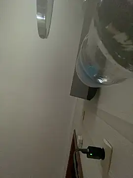 Frosl webcam