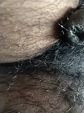 jellydicks webcam