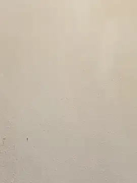 Alevsiz webcam