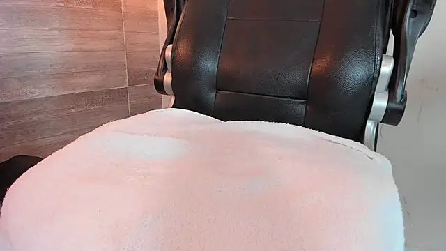 ElaineLaurent webcam