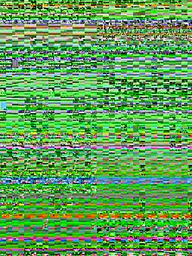 Amandious webcam