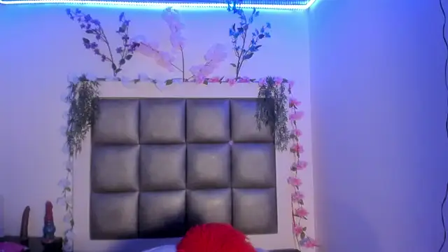 abbiecollins_js webcam
