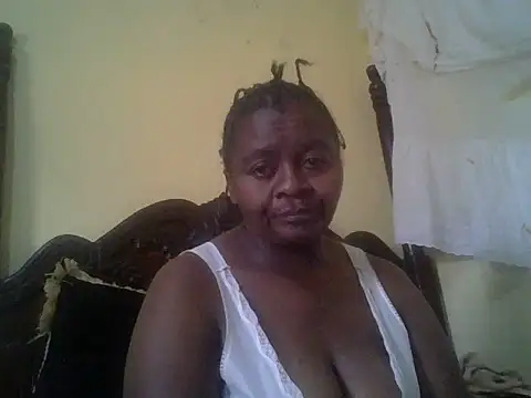 scatia webcam