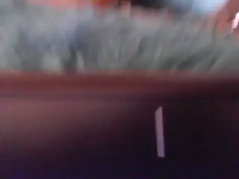 Bllowjoy-juice webcam