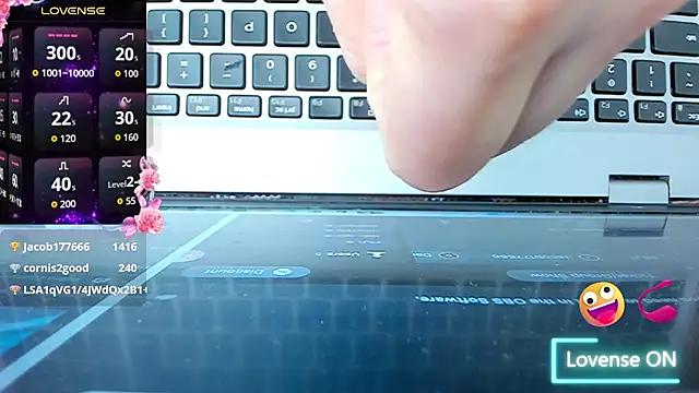 Ran-o0_Chan webcam