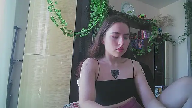 lunar_Sanata webcam