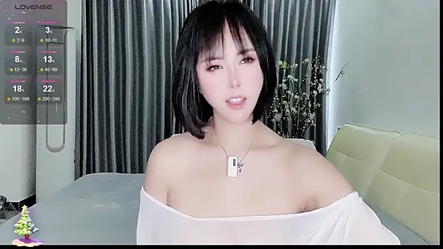 Lda- webcam
