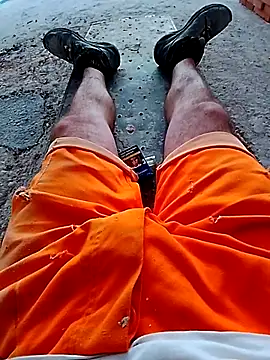 Porcopalestratocazzone21