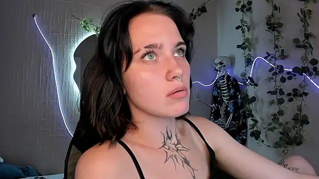 Elastikisss webcam