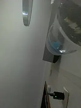 Frosl webcam