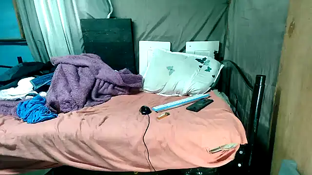 Camodick webcam