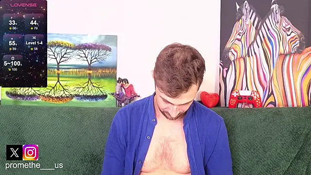 Promethe_us webcam