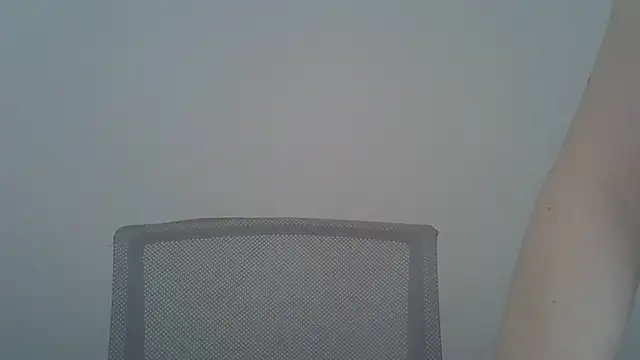 DitaVira webcam