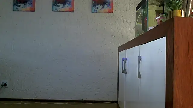 NewBeginnings8 live cam