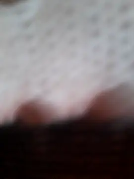 -Tara-a webcam