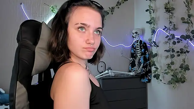 Elastikisss webcam
