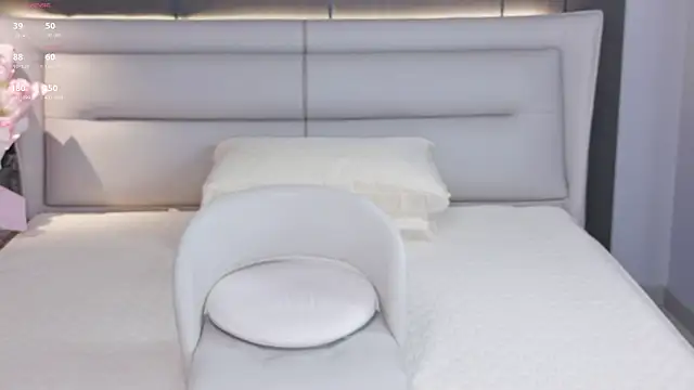 Qi33wei webcam