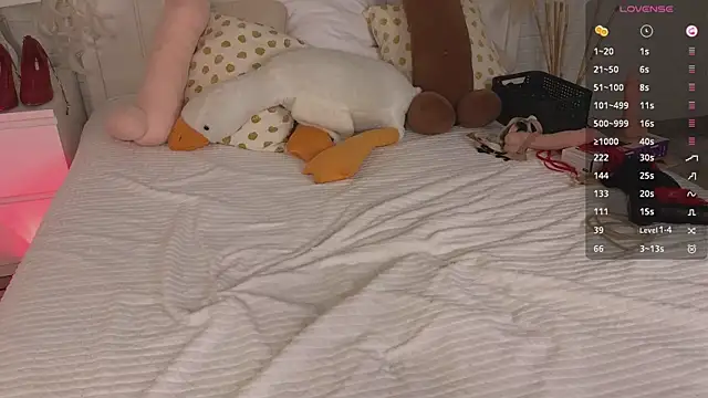 Mira_Falls webcam