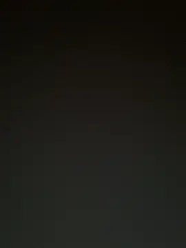 TheDime webcam