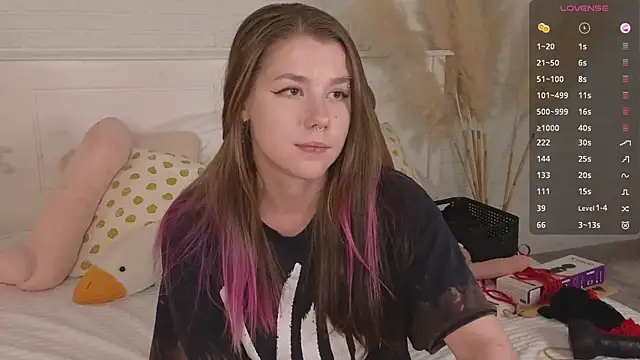 Mira_Falls webcam