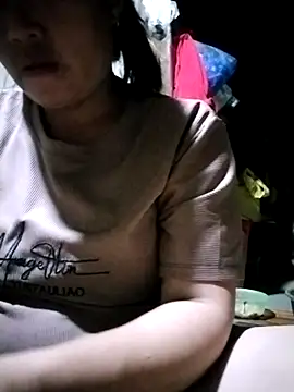 Min-in webcam