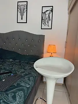 Maximiliano_ford webcam